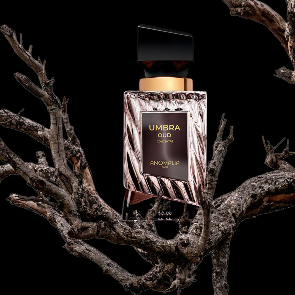 Umbra Oud Concentre Eau de Parfum 70ml