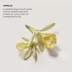 Vanille Eau de Parfum 50ml