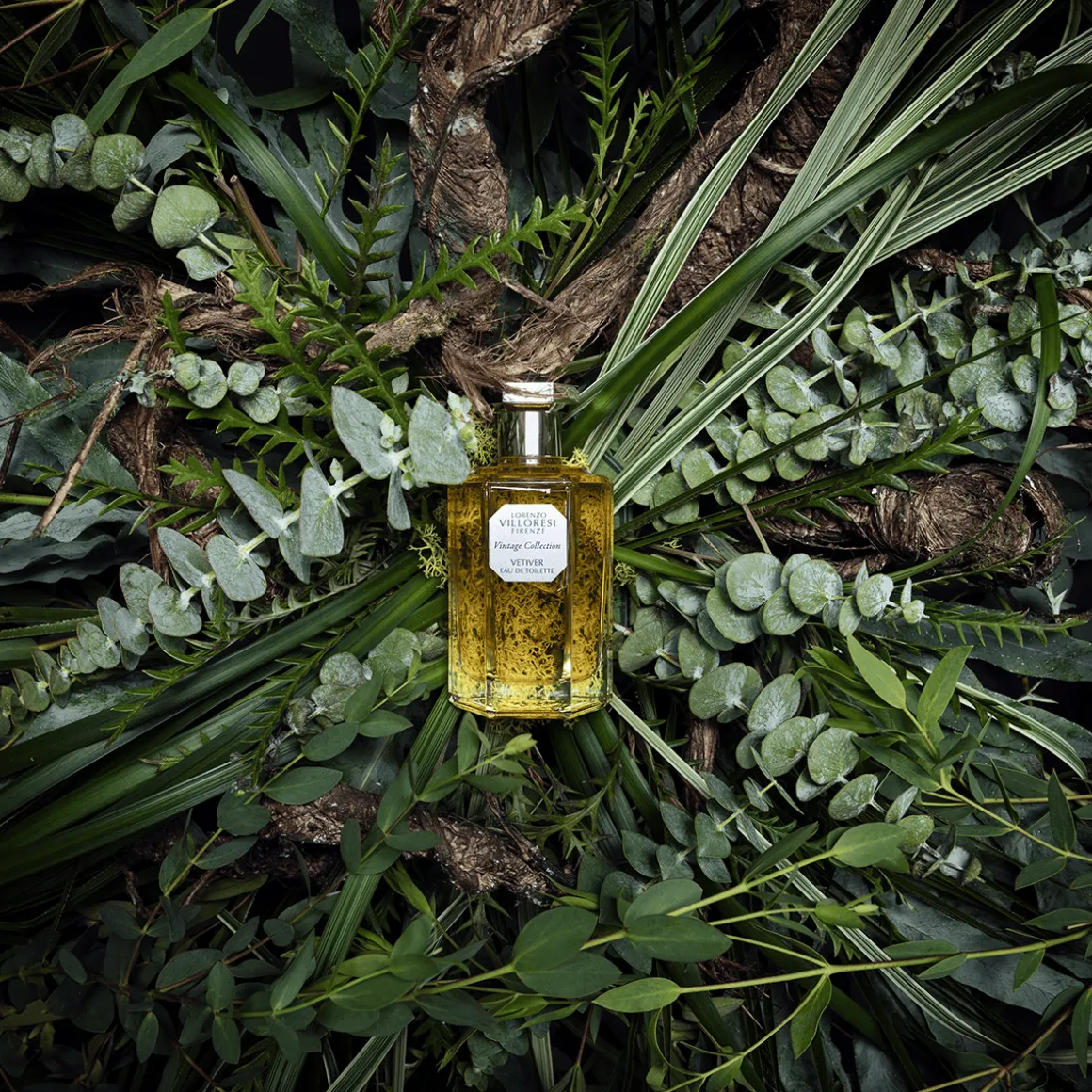 Vetiver Eau de Toilette 100ml