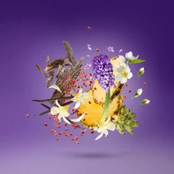 Vibe Purple Accento Eau de Parfum 100ml